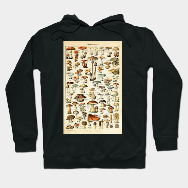 Champignon I Vintage French Mushroom Chart Hoodie by visionarysea